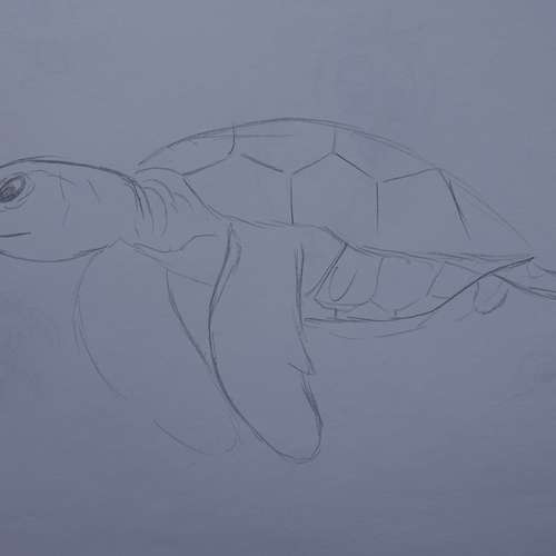 #6370 - Kinderbilder [Lukas ]