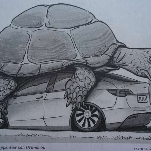 #7907 - Cartoons [Dinisa Pismestrovic]