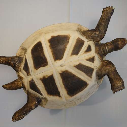 #7627 - Skulpturen [Joseph Heimerer]