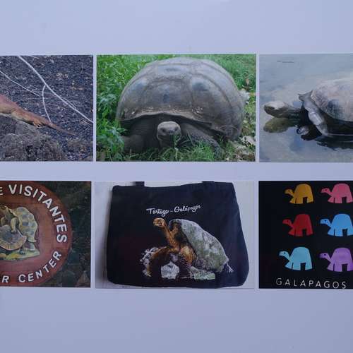 #7999 - Ausstellungsstück