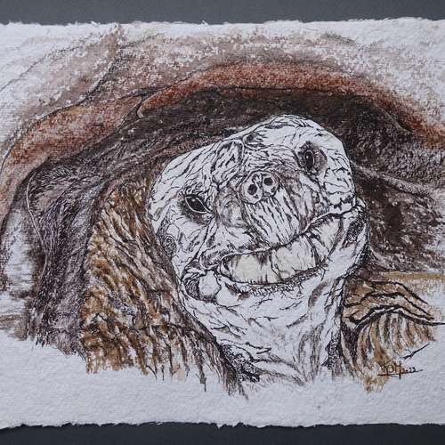 #7660 - Malerei [Katja Ochoa Molano]