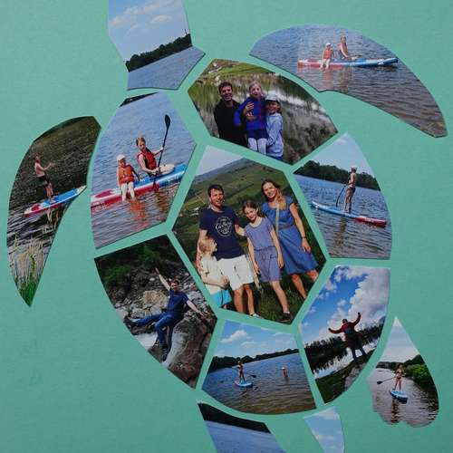 #7674 - Collagen [Sarah Zehnter]