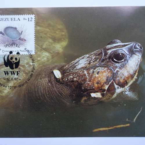 #7969 - Postkarten [J.L.S. Dubois (Foto)]