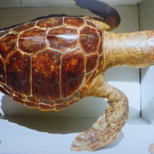 #7977 - Fotos [K. L.]