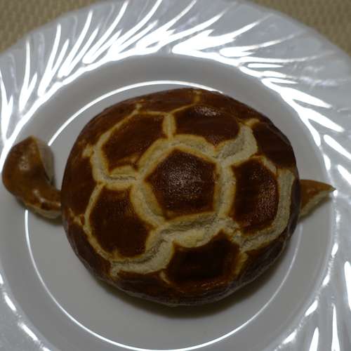 #8799 - Fotos [K. L.]