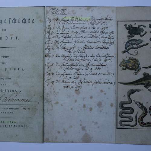 #8137 - Kinderbücher [Autor:  C. Ph. Funke]